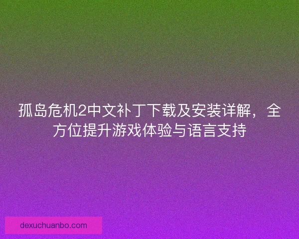 孤岛危机2中文补丁下载及安装详解，全方位提升游戏体验与语言支持