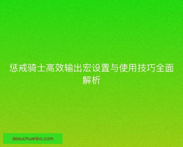 惩戒骑士高效输出宏设置与使用技巧全面解析