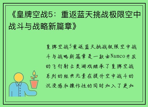 《皇牌空战5：重返蓝天挑战极限空中战斗与战略新篇章》